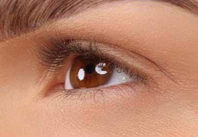 Gros plan d'un oeil avec des cils courts