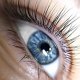 Gros plan d'un oeil bleu avec des cils relevés