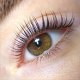 Gros plan d'un oeil marron avec des cils relevés