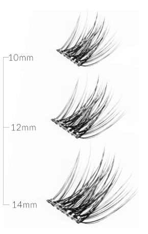 Longueurs de cils - 10, 12, 14 mm